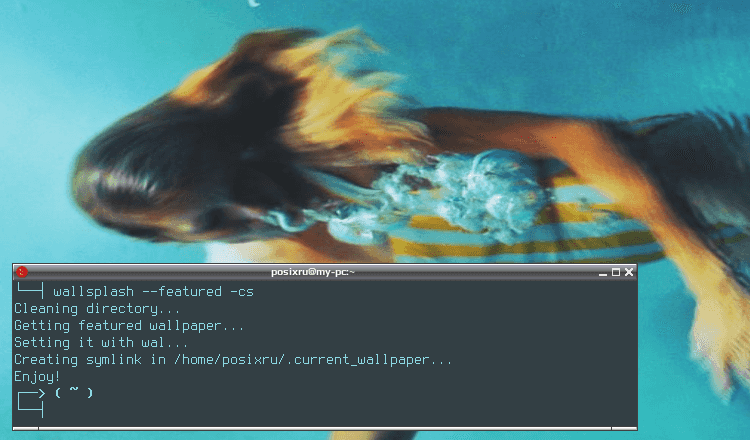wallsplash 010